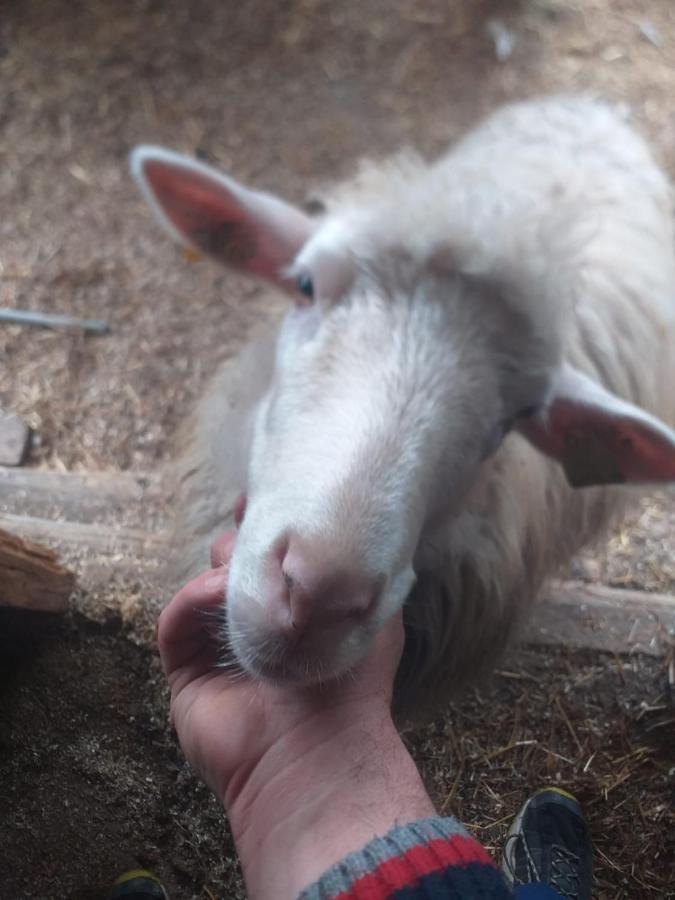 Agrifarm La Corte Apartment Villa Bensi Kültér fotó